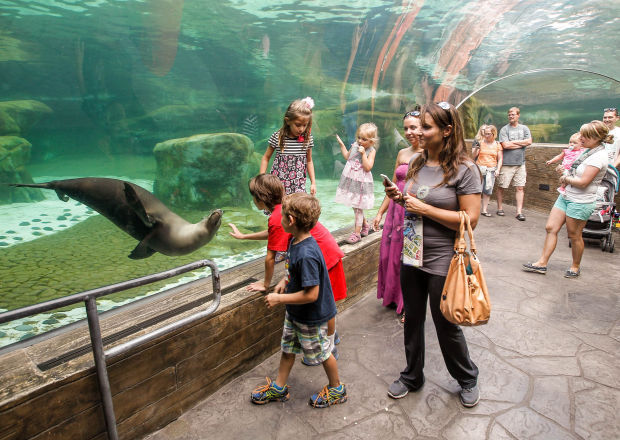 Saint Louis Zoo
